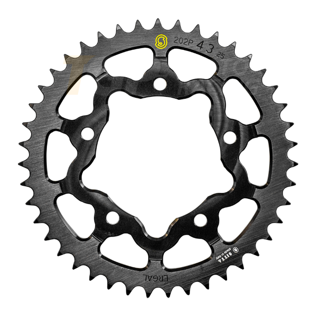 Sitta 202P aluminium rear sprocket for Aprilia RSV4 525 pitch