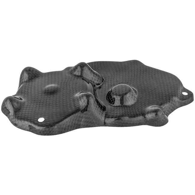 LighTech CARK9518 gloss carbon pick-up cover for Kawasaki ZX-6R 636 RR 2009–2026