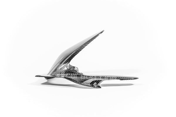 AP Carbon Line 200g twill carbon rear mudguard for Ducati Panigale V4 V4S V4R 2025-2026