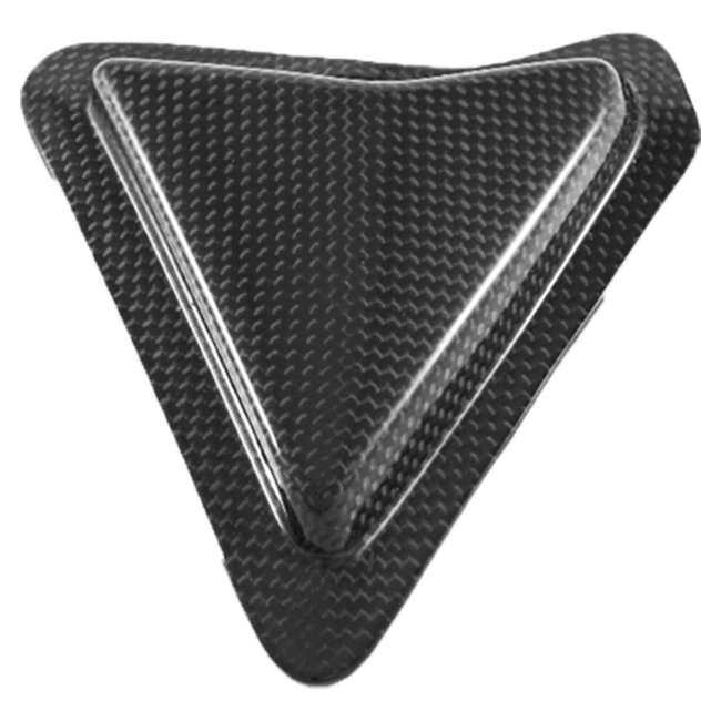 Fullsix carbon swingarm guard with slider for Ducati Panigale V2 955 2020-2024