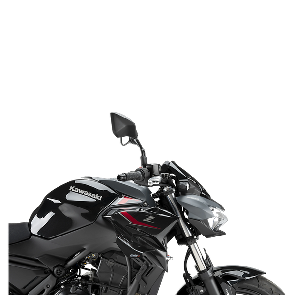 Puig D12 Winglets for Kawasaki Z650 (2020–2026) – Black (am Motorrad)