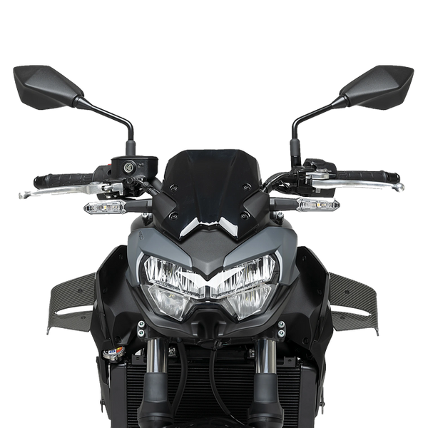 Puig D12 Winglets for Kawasaki Z650 (2020–2026) – Carbon look (am Motorrad)