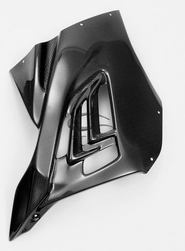 Carbonin complete carbon fairing kit for BMW S1000RR K67 2019-2022, five-piece set