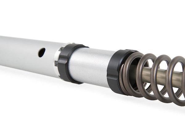 Öhlins NIX 30 Cartridge Kit FGK 229 for Ducati Panigale V2 955