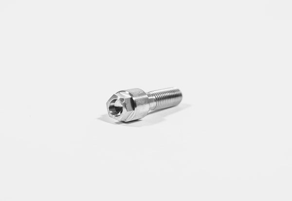 TGP MotoRacing titanium eccentric bolt kit M10 for Ducati Panigale V4 S R
