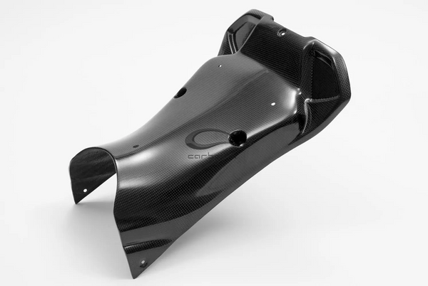 Carbonin complete carbon fairing kit for BMW S1000RR K67 2019-2022, five-piece set