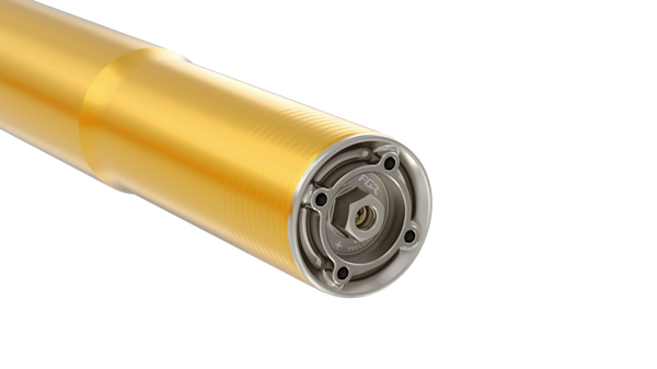 Öhlins FGR 400 racing front fork pair, 46 mm inner tubes