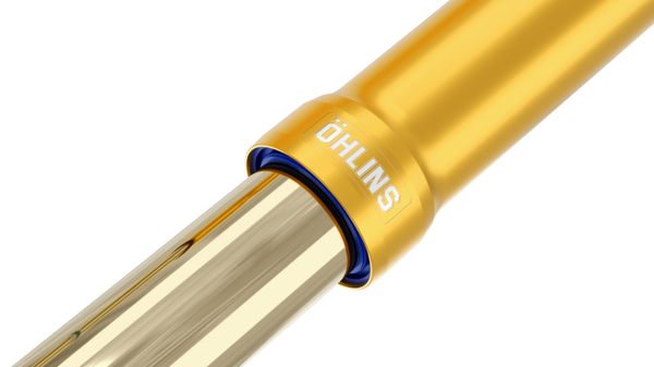 Öhlins FGR 400 racing front fork pair, 46 mm inner tubes