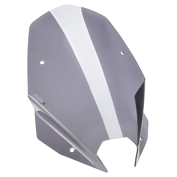 Puig New Generation Touring Windscreen for BMW M1000R (2025–2026)