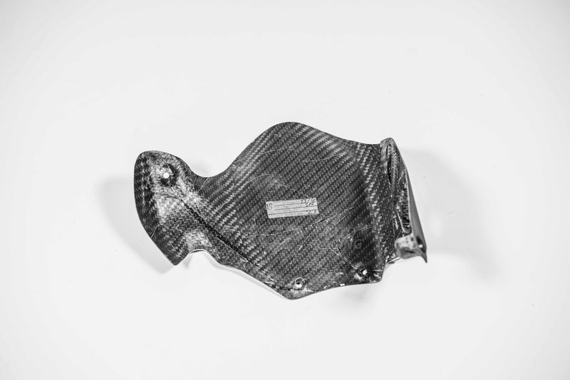 Plastic Bike short carbon rear mudguard for Ducati Panigale V2 955 2020-2024