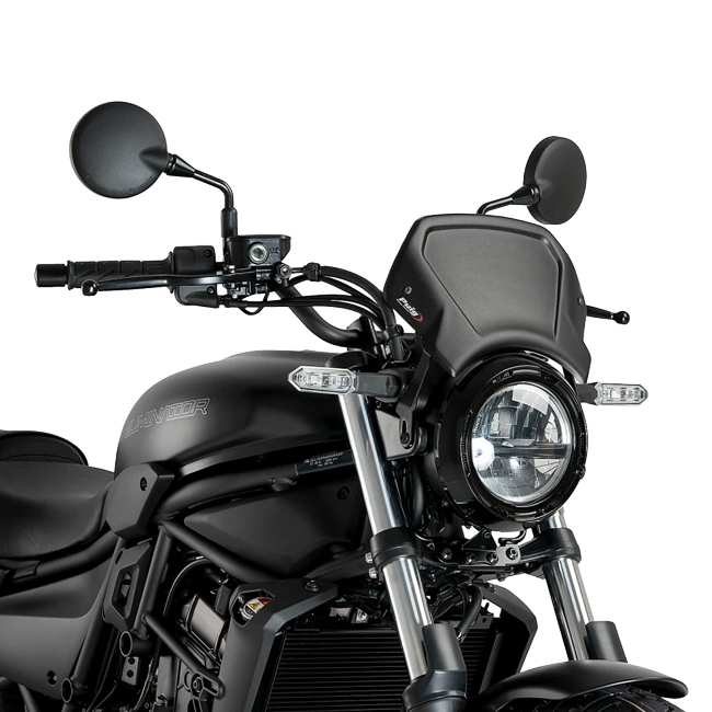 Puig Aluminium Front Plate Windscreen for Kawasaki Eliminator 500 / SE (2024–2026) – mounted on bike (Black)