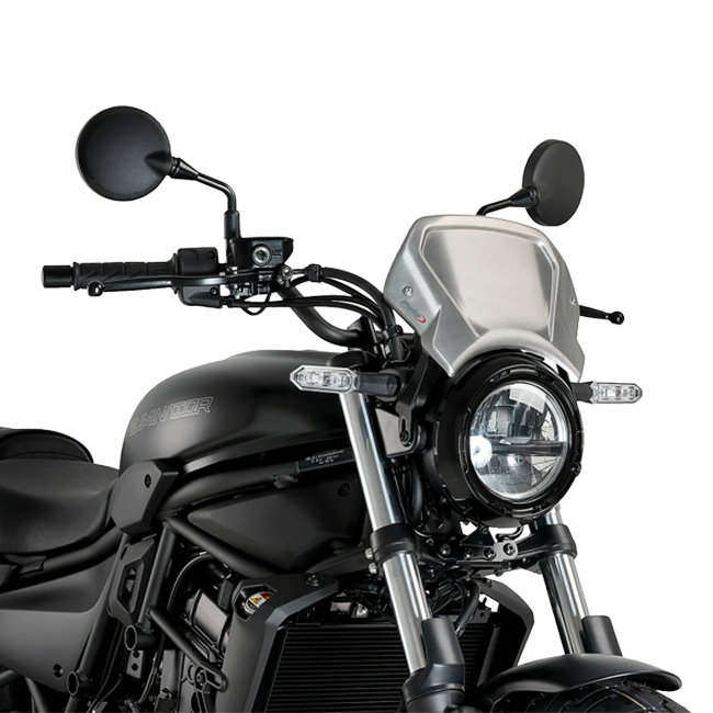 Puig Aluminium Front Plate Windscreen for Kawasaki Eliminator 500 / SE (2024–2026) – mounted on bike (Silver)