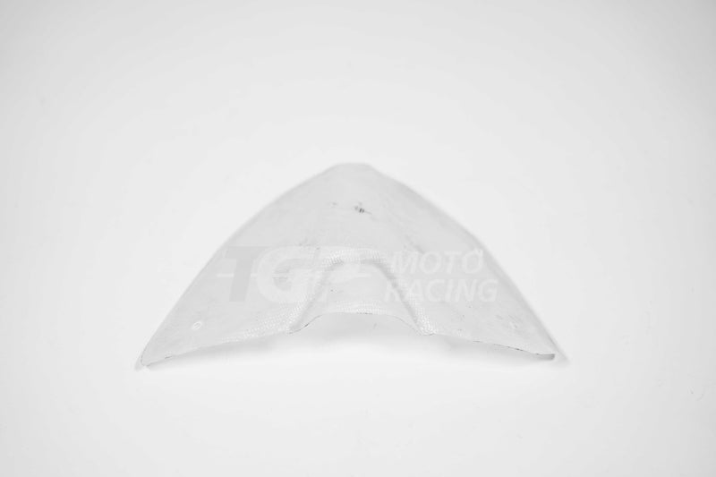 AP Carbon Line rear MotoGP winglets in 200g carbon for Ducati Panigale V4 2025-2026