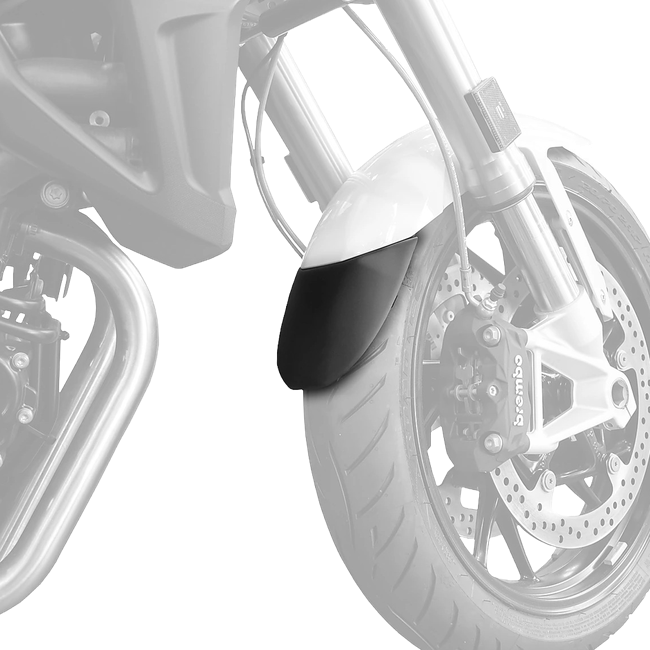 Puig Front Fender Extension for BMW R1250R (2018–2025)
