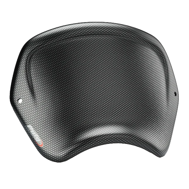 Puig Front Plate ABS for BMW R Ninet (2015–2024)