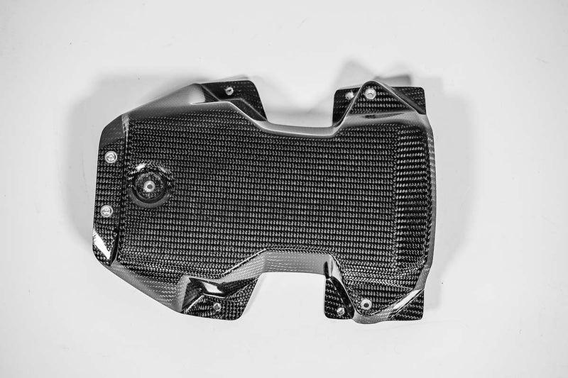 AP Carbon Line 200g twill carbon tail fairing for Aprilia RSV4 RR 1100 Factory 2021-2025
