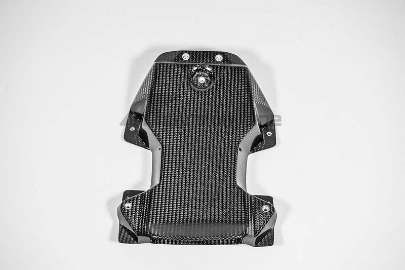 AP Carbon Line 200g twill carbon tail fairing for Aprilia RSV4 RR 1100 Factory 2021-2025