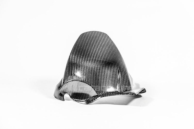 AP Carbon Line 200g twill carbon rear mudguard for Ducati Panigale V4 V4S V4R 2025-2026