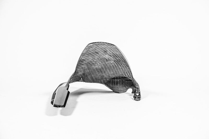 AP Carbon Line 200g twill carbon rear mudguard for Ducati Panigale V4 V4S V4R 2025-2026