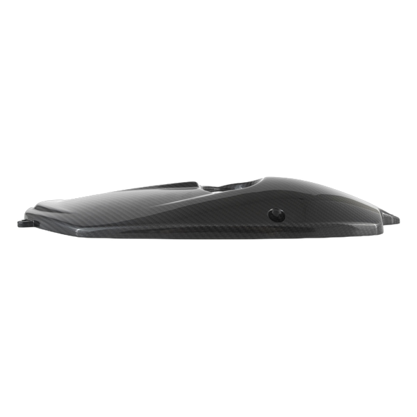 Fullsix carbon engine cover for BMW R nineT 2014-2024 – view 3