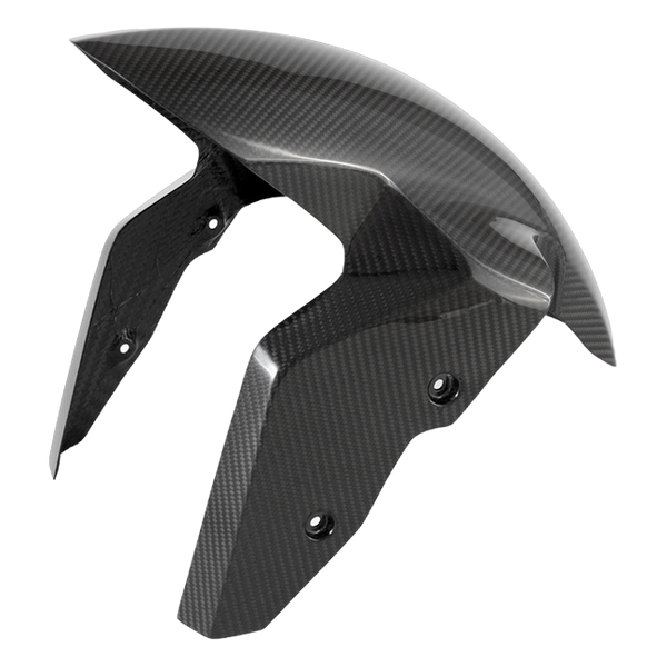Fullsix carbon front mudguard for BMW S1000R 2013-2020 – view 3