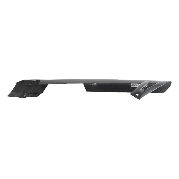 Fullsix carbon chain guard for BMW S1000R 2013-2020 – view 4