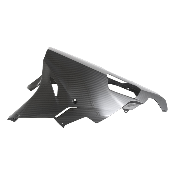 Fullsix carbon belly pan for BMW S1000RR 2015-2016 – view 3
