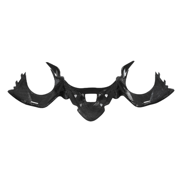 Fullsix carbon instrument cover for Ducati 1299 Panigale 2015-2017 – view 4