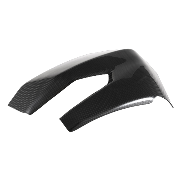 Fullsix carbon swingarm guard for Ducati Monster 1200 2017-2020 – view 3