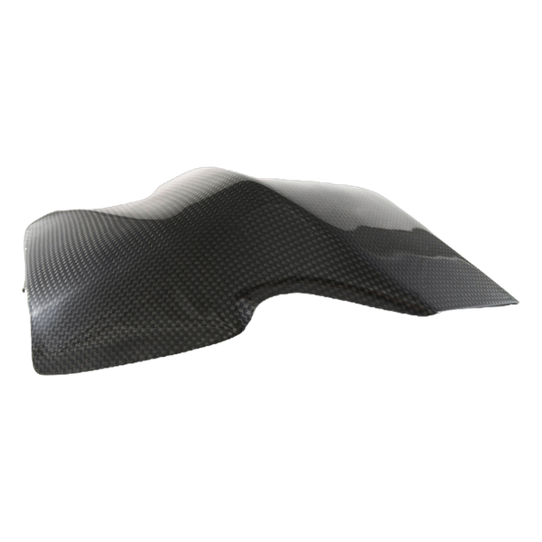 Fullsix carbon swingarm guard for Ducati Monster 1200 2017-2020 – view 5