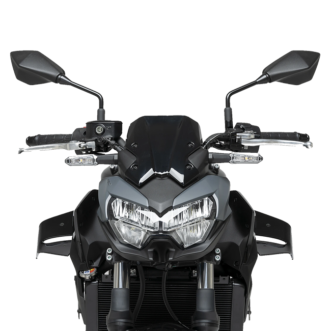 Puig D12 Winglets for Kawasaki Z650 (2020–2026) – Black (am Motorrad)