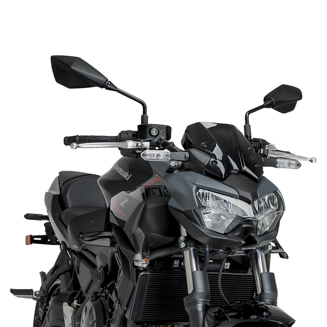 Puig D12 Winglets for Kawasaki Z650 (2020–2026) – Black (am Motorrad)