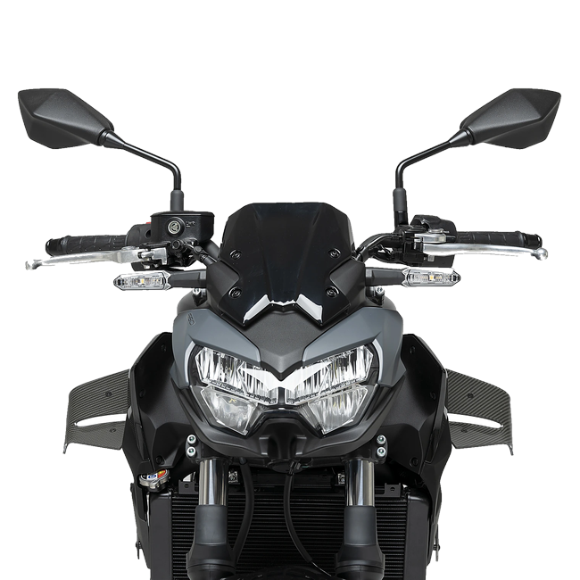 Puig D12 Winglets for Kawasaki Z650 (2020–2026) – Carbon look (am Motorrad)