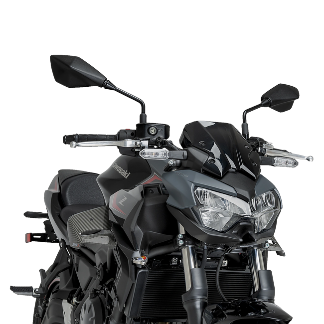 Puig D12 Winglets for Kawasaki Z650 (2020–2026) – Carbon look (am Motorrad)