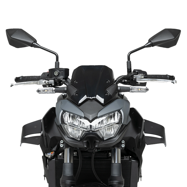 Puig D12 Winglets for Kawasaki Z650 (2020–2026) – Matt black (am Motorrad)