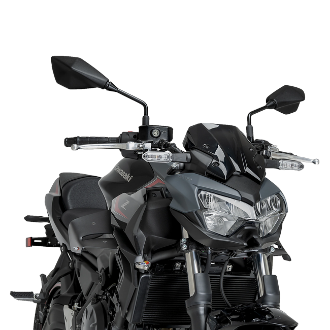 Puig D12 Winglets for Kawasaki Z650 (2020–2026) – Matt black (am Motorrad)