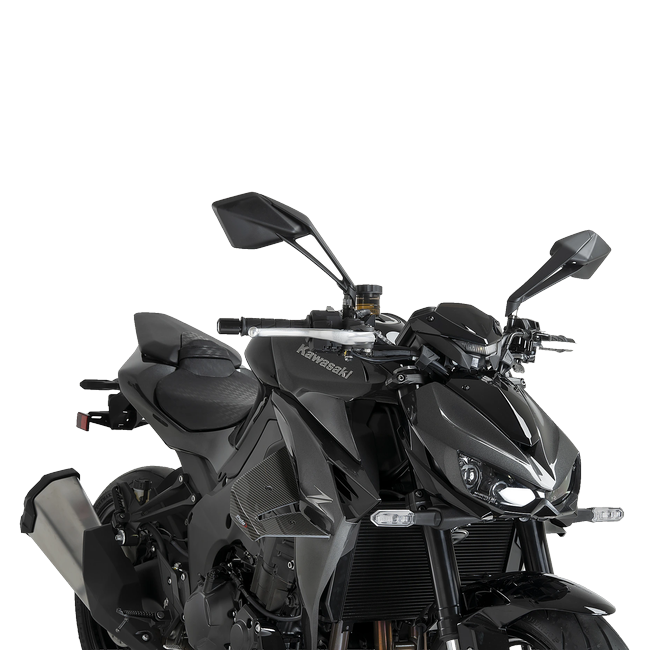 Puig D12 Aerodynamic Spoilers for Kawasaki Z1100 / SE (2026) – Carbon look (am Motorrad)