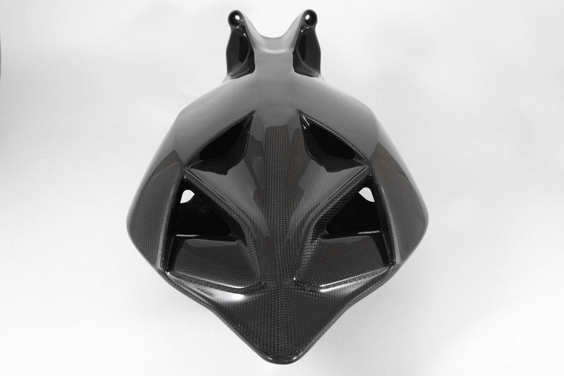 Fullsix Carbon Racing Monocoque tail unit for Ducati Panigale 1199 R S 2012-2017
