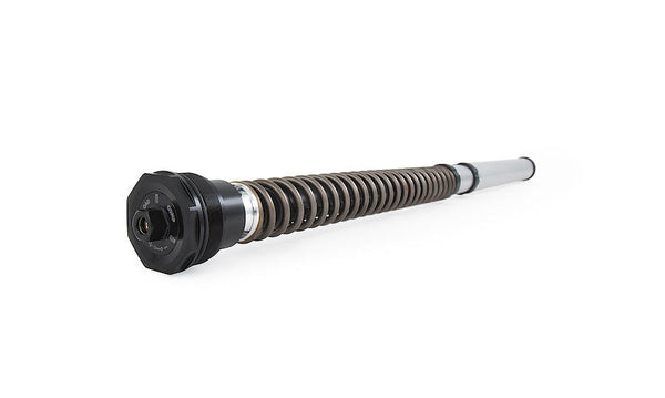 Öhlins NIX 30 Cartridge Kit FGK 229 for Ducati Panigale V4 2025-2026