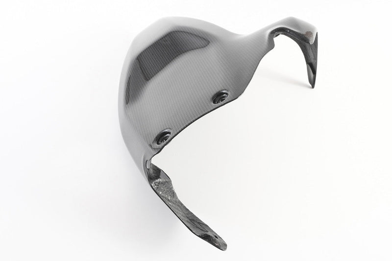 Fullsix carbon rear mudguard for Ducati Panigale 1199 R S 2012–2017