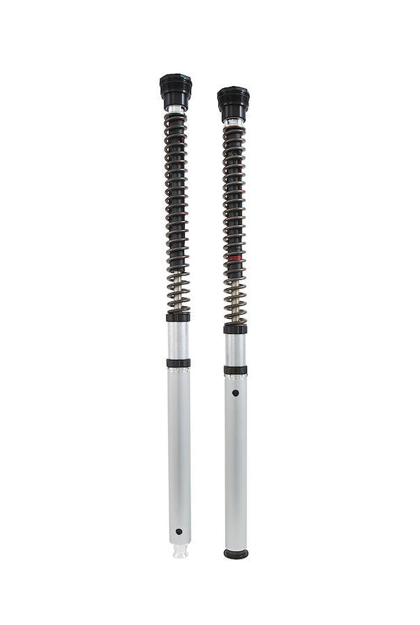 Öhlins NIX 30 Cartridge Kit FGK 229 for Ducati Panigale V2 955