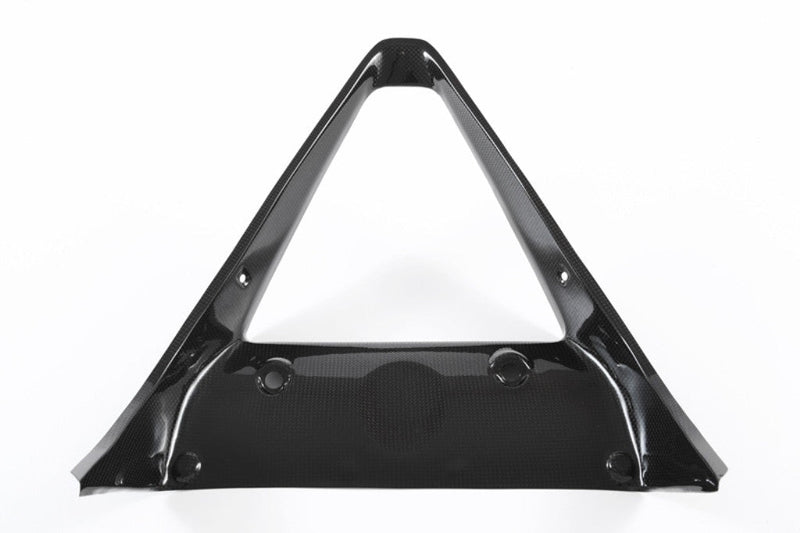 Fullsix carbon radiator fairing for Ducati Panigale 959 2016-2019