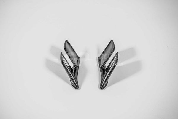AP Carbon Line 400g carbon rear MotoGP winglets for Ducati Panigale V4 2025-2026