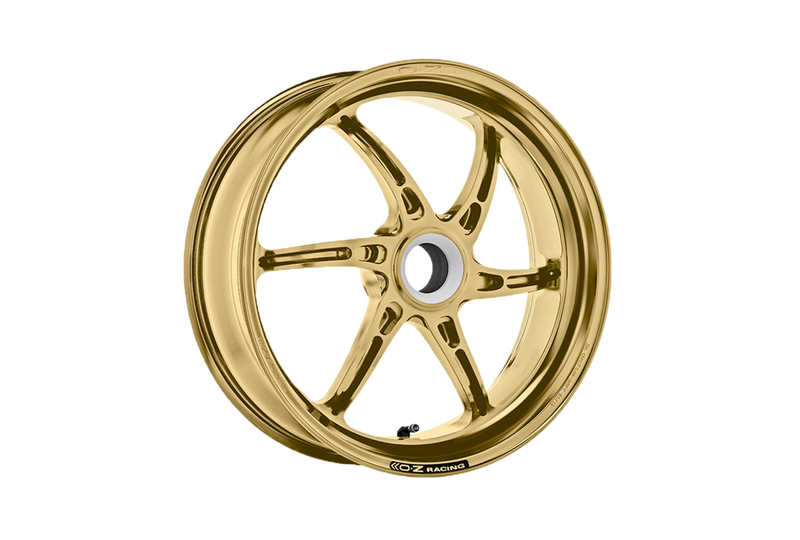 OZ Cattiva forged magnesium rear wheel for Ducati Panigale V2 955 2020-2024 part C6012DU55X