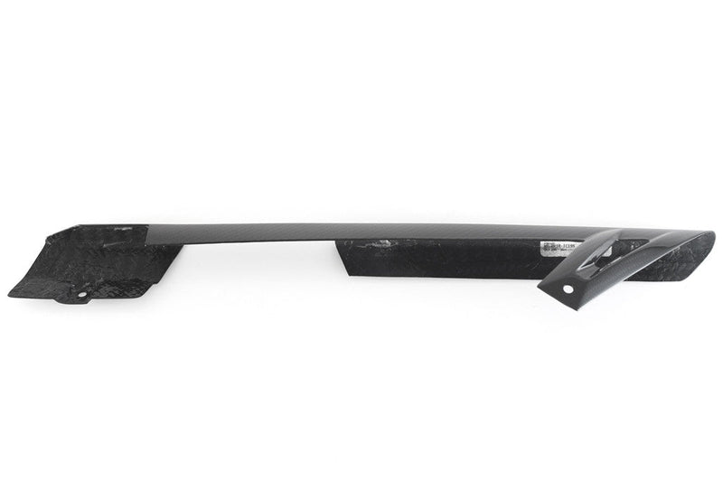 Fullsix carbon chain guard short for BMW S1000RR K46 2009-2018