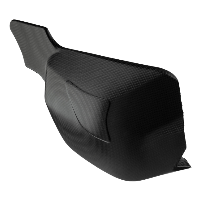LighTech CARD0760M carbon part with the A1 plate support for Ducati STREETFIGHTER V4 – product view