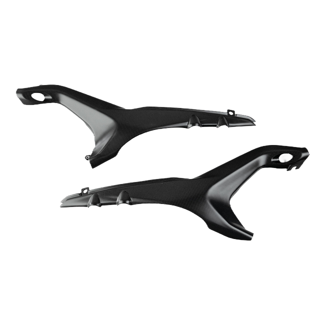 LighTech CARD0780M carbon part with the A1 plate support for Ducati STREETFIGHTER V4 – product view