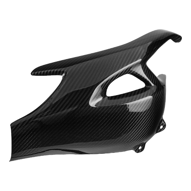 LighTech CART1260 carbon part in gloss carbon for Triumph SPEED TRIPLE 1200 RS – product view