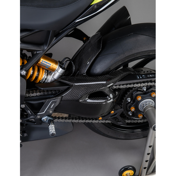 LighTech CART1260 carbon part for Triumph SPEED TRIPLE 1200 RX – fitted to the bike 2